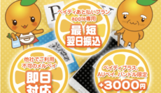 オレンジチケット 25 オレンジチケット