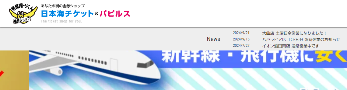 秋田県(秋田市,横手市等)のクレジットカード現金化優良店|1時間以内に振込完了のネット業者も紹介 118 パピルス